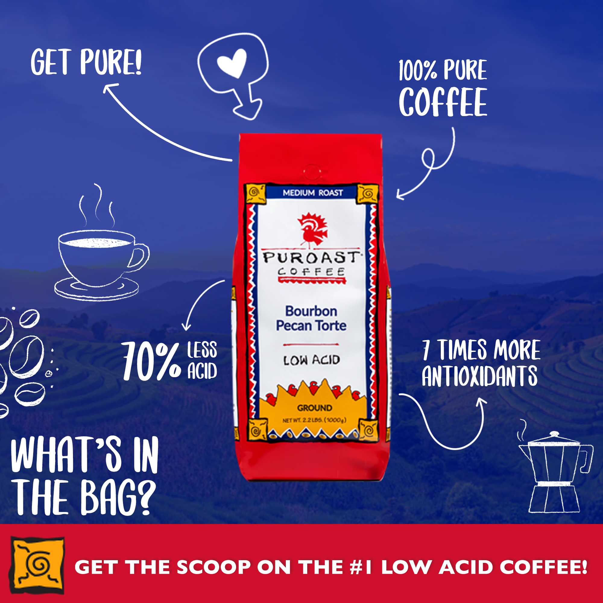 Best Coffee for Acid Reflux: A Complete Guide