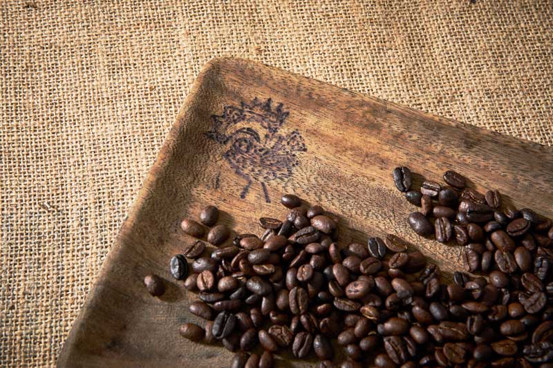 Is Dark Roast Really Low-Acid? The Science Behind the Coffee Industry’s Biggest Myth