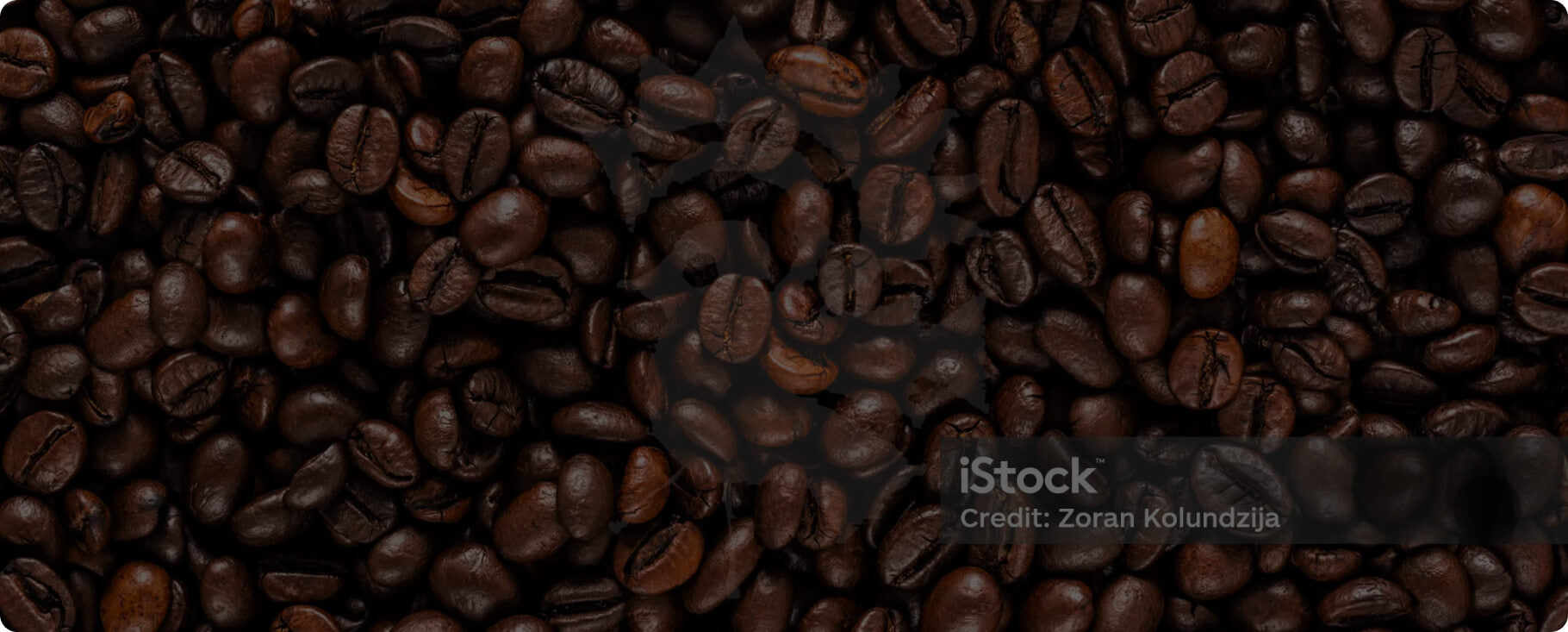Lifeboost Coffee Review — NC A&T Independent pH Test | Puroast