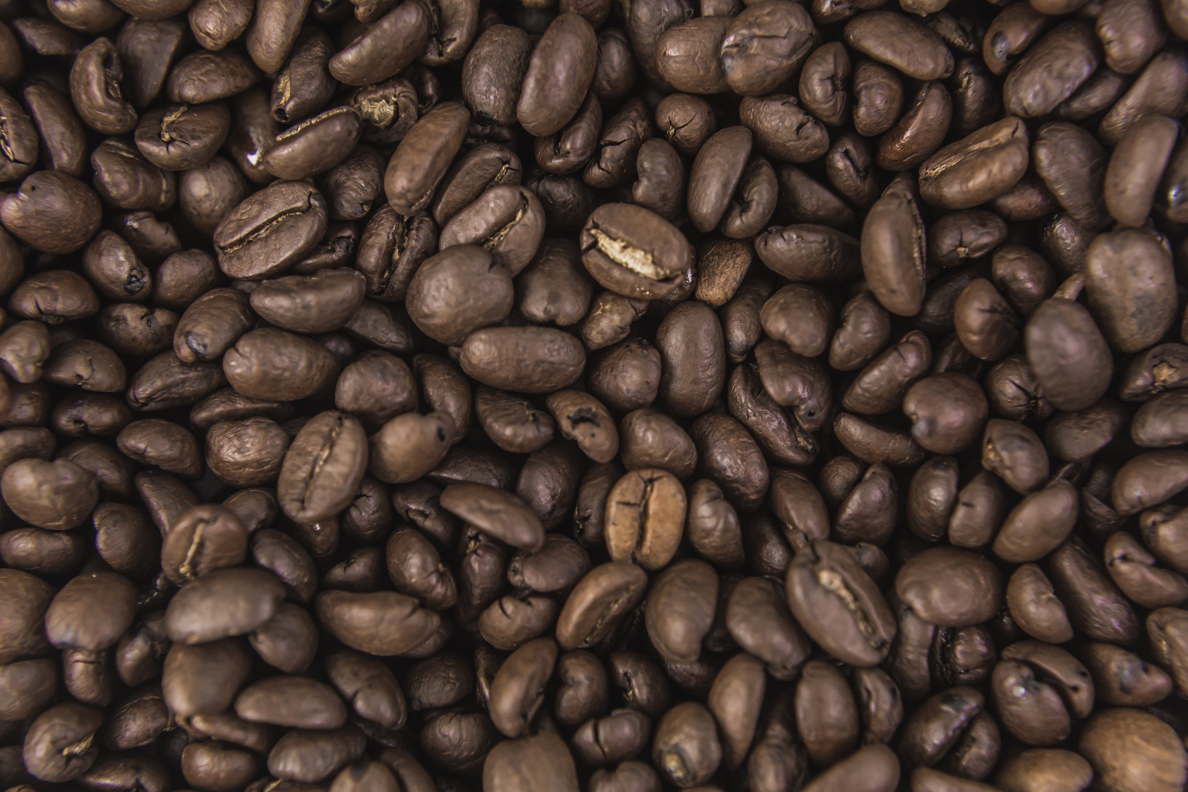 What Makes Ugandan Coffee Unique? A Complete Guide
