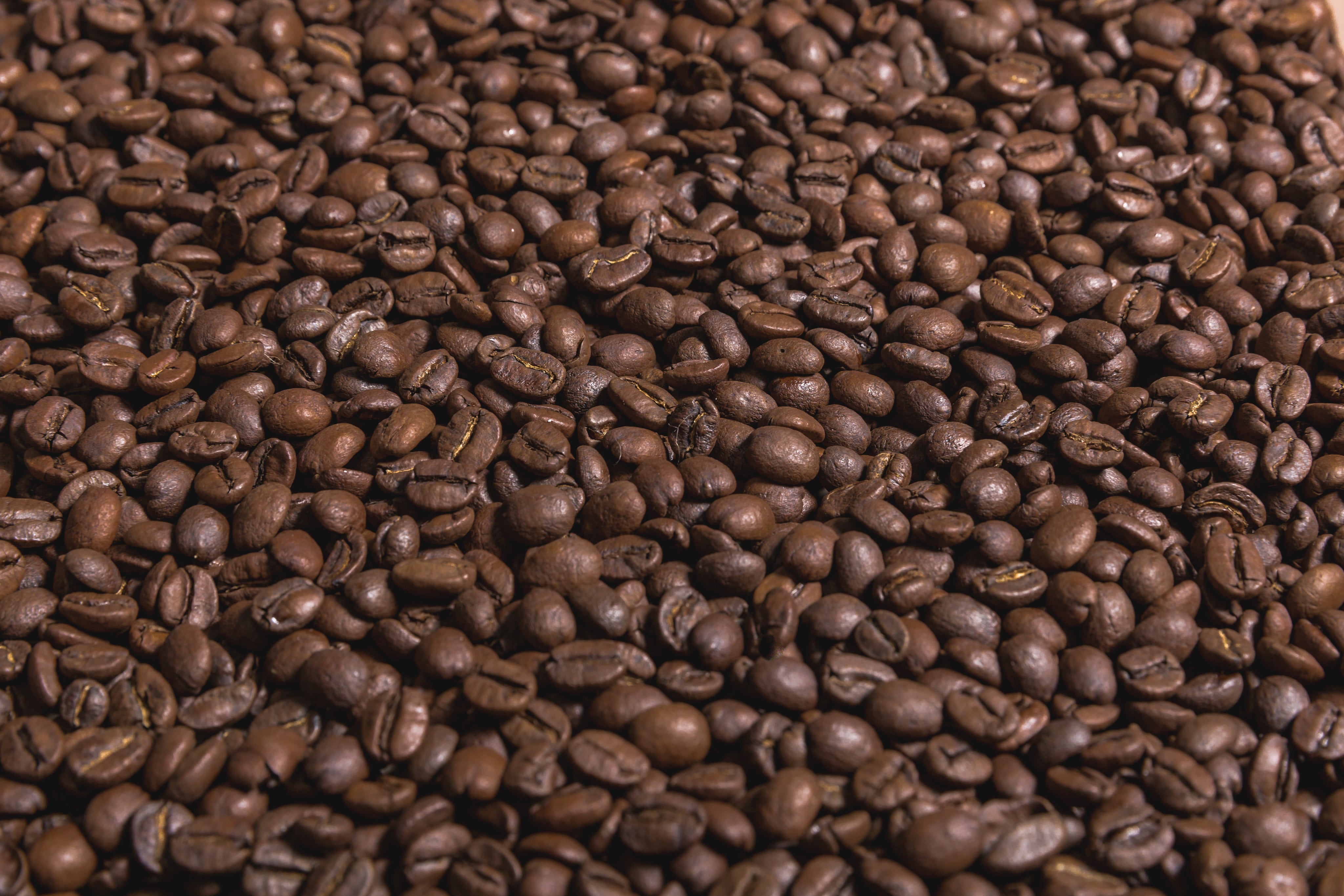 coffee-beans-flat-sideangle.jpg